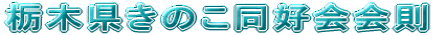 Ȗ،̂D