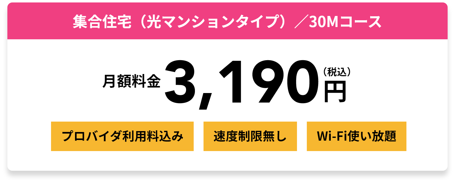 集合住宅（光マンションタイプ）／30Mコース 月額料金3,190円（税込）