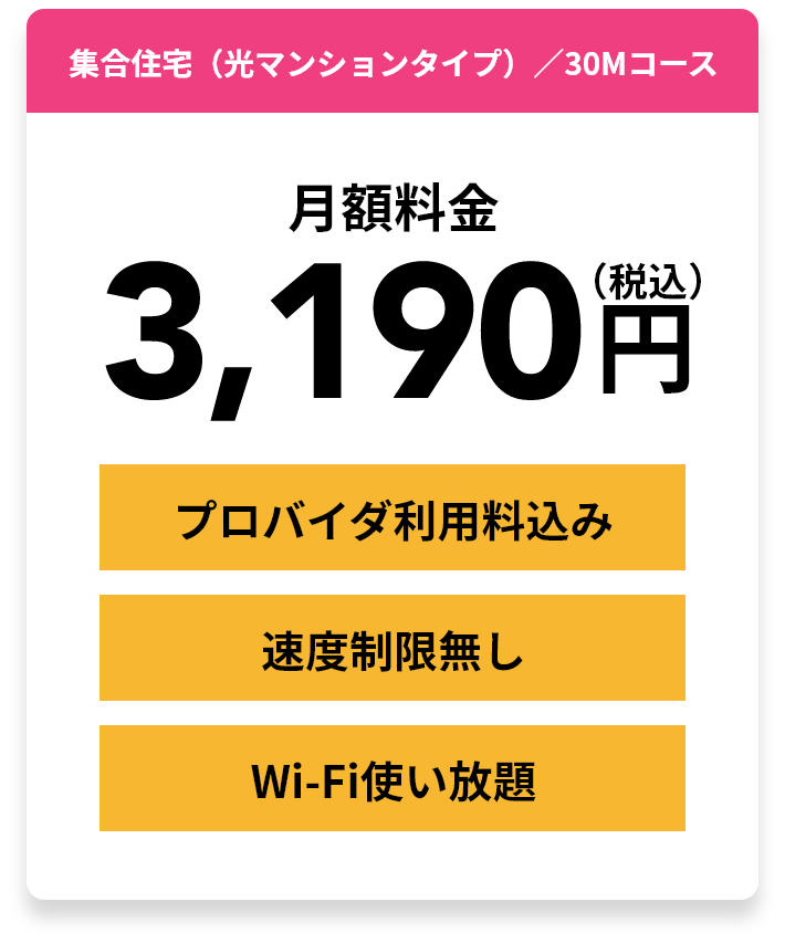 集合住宅（光マンションタイプ）／30Mコース 月額料金3,190円（税込）