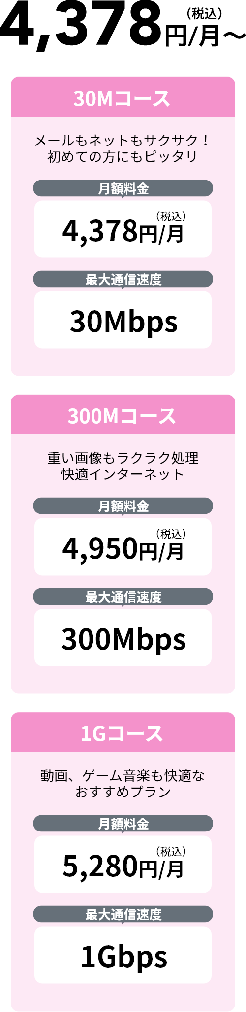 4,378円（税込）/月～