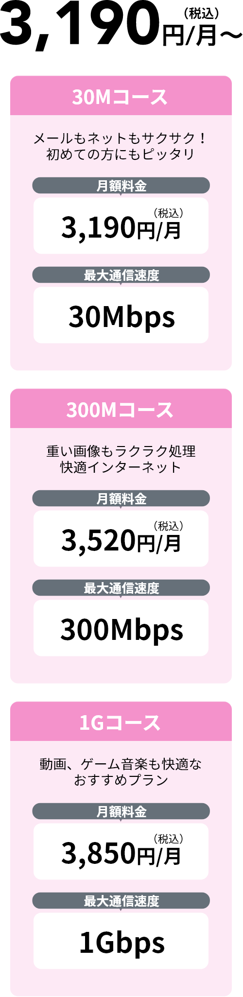 3,190円（税込）/月～