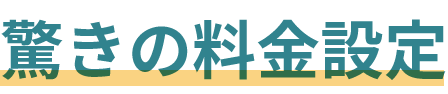 驚きの料金設定